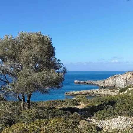 Διαμέρισμα Plakia *