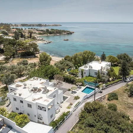 Plakia Πεύκος